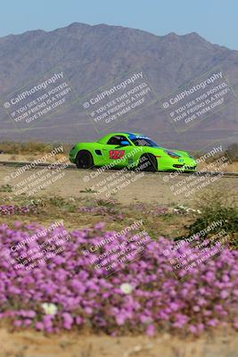 media/Jan-29-2023-PCA San Diego (Sun) [[aa0301ccc2]]/Yellow Group/Session 1 (Turn 15 Bloom)/